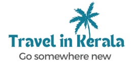 travelinkerala.com
